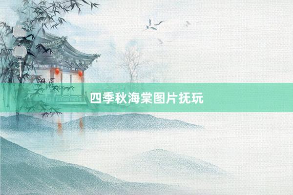 四季秋海棠图片抚玩